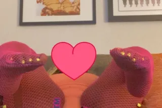 🐐🐐 THROATGOAT HEADMASTER ⭐⭐⭐⭐⭐ 💦 SLOPPY 💦 TIGHT && THICK ‼NO LOWBALL‼‼ - Image 8